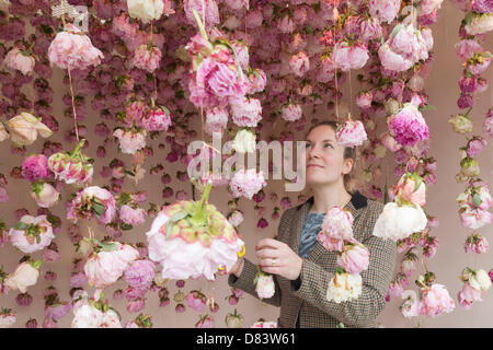 Samedi, 18 mai 2013, Londres, Royaume-Uni. La plantation et les travaux de construction se poursuit pour le Chelsea Flower Show 2013 à la veille de l'ouverture la semaine prochaine. Sur la photo : concepteur floral Rebecca Louise droit avec un affichage des pivoines. Photo : Nick Savage/Alamy Live News Banque D'Images