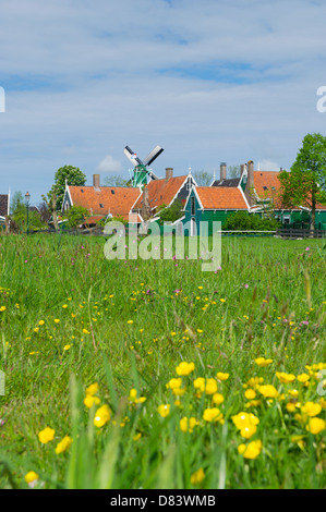 Dutch village typique avec des maisons en bois vert et moulin Banque D'Images