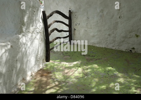 Bois d'Olive porte de Minorque dans mur blanc de maison, Minorque, Espagne Banque D'Images