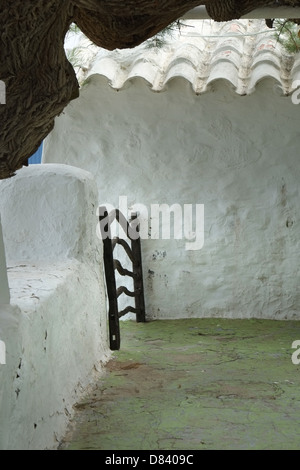 Bois d'Olive porte de Minorque dans mur blanc de maison, Minorque, Espagne Banque D'Images