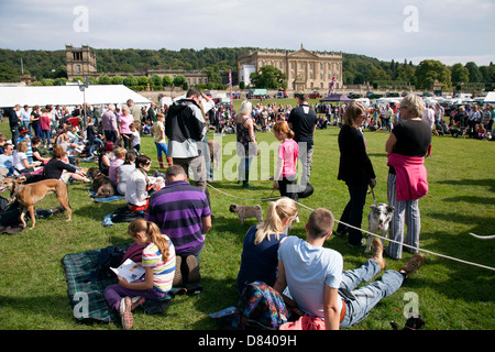 Le jeu de Chatsworth, Derbyshire, Angleterre juste, au Royaume-Uni. Banque D'Images