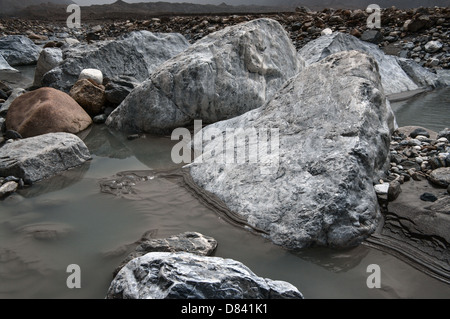 Rock Garden Glacier Inilchek Banque D'Images