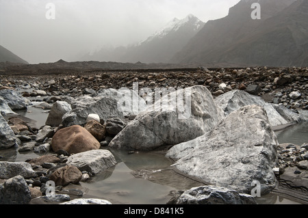 Rock Garden Glacier Inilchek Banque D'Images