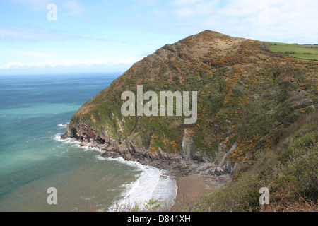 Peu de bourreau et Poirier, Combe Martin, Ilfracombe, Devon, Angleterre, Grande-Bretagne, Royaume-Uni, UK, Europe Banque D'Images