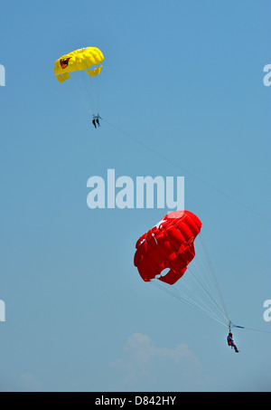 Le parapente en été sur la mer Banque D'Images