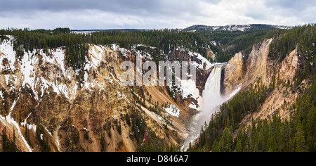 Panorama de Yellowstone Falls Banque D'Images