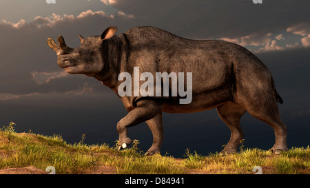 Un Brontotherium marcher au sommet d'une colline herbeuse. Banque D'Images