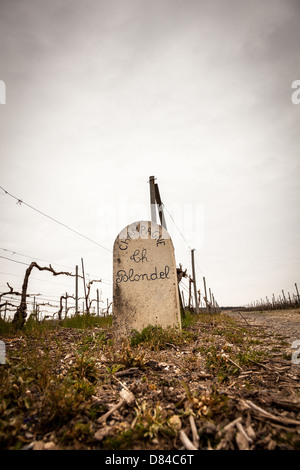 Pierre de la vigne de marqueur du Chateau Maison de Champagne Blondel, Champagne, France, Europe. Banque D'Images