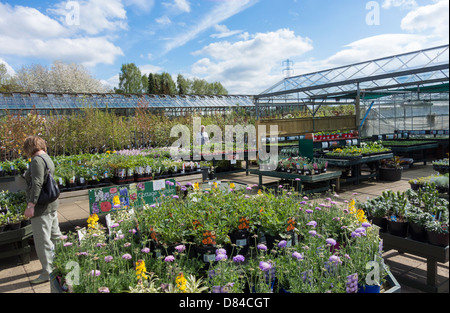 L'ANAH indépendant centre jardin pépinières connu localement pour les plantes et les arbres de haute qualité Banque D'Images