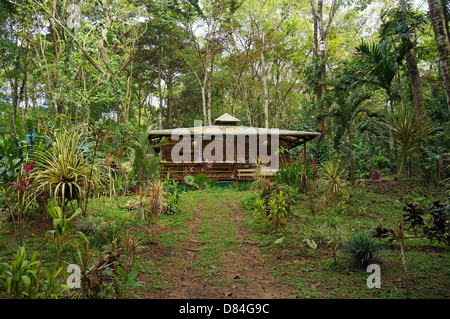 Maison avec de belles plantes tropicales dans la jungle du Costa Rica Banque D'Images