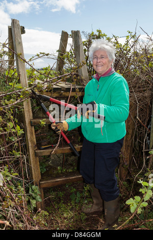 Sentier de randonnée pédestre bénévole retraité suppression d'un chemin et d'échelle pays stile bloqué avec une végétation. Pays de Galles Royaume-uni Grande-Bretagne Banque D'Images