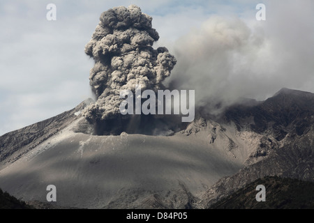 25 février 2013 - éruption explosive du volcan Sakurajima, le Japon. Les nuages de cendre passant de cratère Showa. Banque D'Images