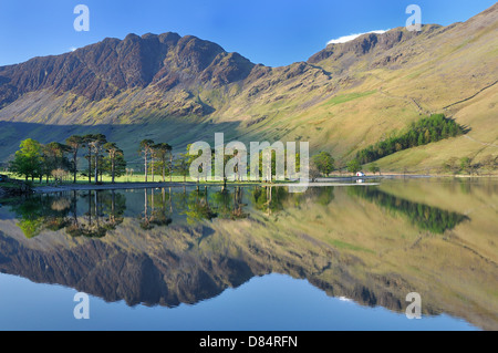 Buttermere avec meules et le fameux pins sylvestres reflète dans l'eau Banque D'Images