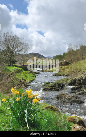 Watendlath Beck. Au début du printemps dans le Lake District Banque D'Images