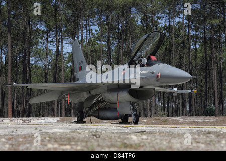 Un F-16A Fighting Falcon de l'Armée de l'Air portugaise, Monte Real, Portugal. Banque D'Images