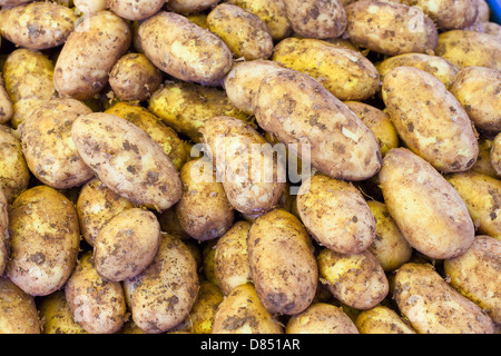 Pommes de terre nouvelles sur le marché Banque D'Images