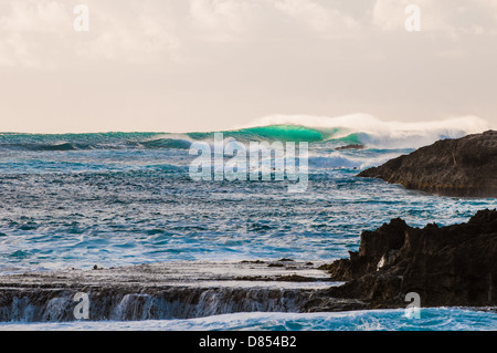 Vague se brisant sur la plate-forme de lave, Oahu, Hawaii Banque D'Images