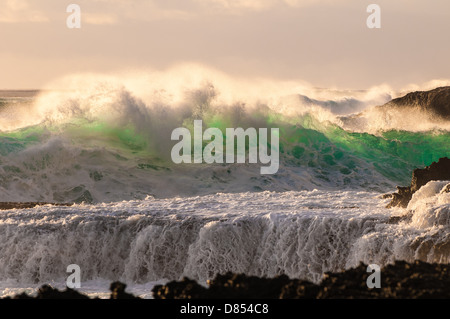 Vague se brisant sur la plate-forme de lave, Oahu, Hawaii Banque D'Images