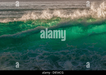 Vague se brisant sur la plate-forme de lave, Oahu, Hawaii Banque D'Images