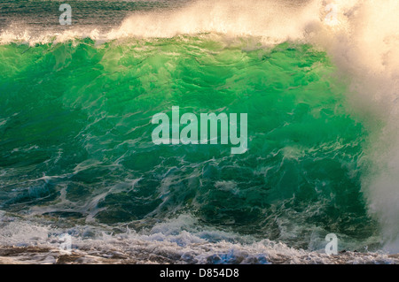 Vague se brisant sur la plate-forme de lave, Oahu, Hawaii Banque D'Images