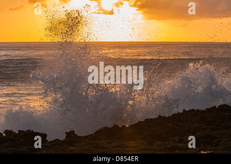 Vague se brisant sur la plate-forme de lave, Oahu, Hawaii Banque D'Images