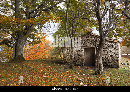 Chalet en pierre en forêt d'automne Banque D'Images