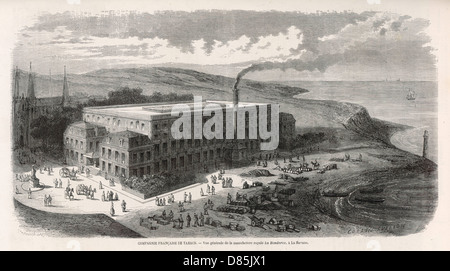 Usine de tabac cubaine Banque D'Images
