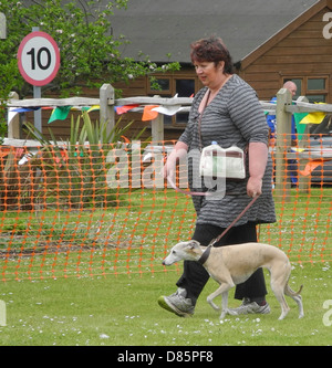 Chien montre met en évidence différents niveaux d'enthousiasme...AUCUN MODÈLE PRESSE UNIQUEMENT. Il s'agit d'une exposition canine à Brinsbury Agricultural College open day Banque D'Images