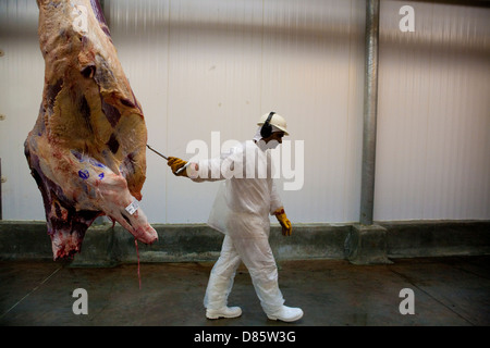 Abattoir Marfrig, facilité d'exportation de viande, Tangara da Serra, l'État de Mato Grosso, Brésil, l'Amazonie. Banque D'Images