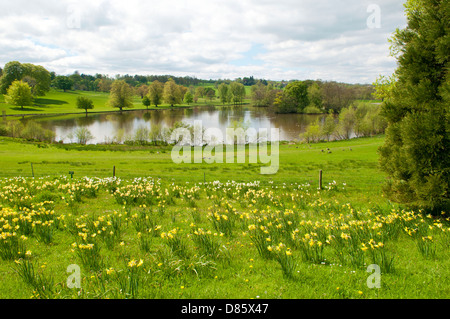 Le lac et les prés sur le domaine du Château de Ripley Ripley, Yorkshire du Nord. Banque D'Images