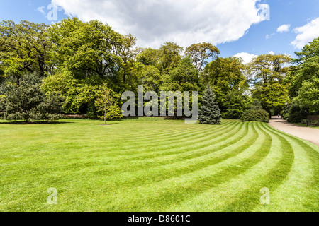 Pelouse verte avec bandes fauchées, Hampstead Heath, London, England, UK Banque D'Images