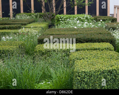 Londres, Royaume-Uni. 20 mai 2013. Le Chelsea Flower Show. Sur la photo : le Daily Telegraph Jardin. London, UK Crédit : Ian Thwaites/Alamy Live News Banque D'Images