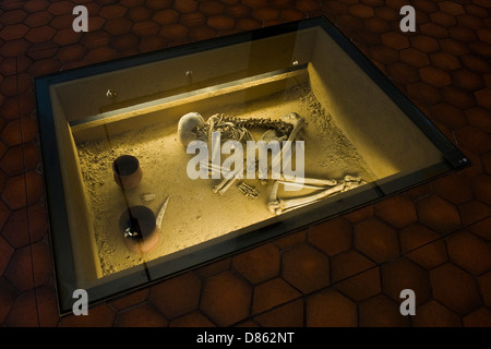 France Alsace Strasbourg palais Rohan Musée archéologique Banque D'Images
