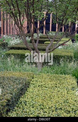 Le Daily Telegraph, le jardin d'un exposant : The Daily Telegraph, Concepteur : Christoper Bradley-Hole. Chelsea Flower Show 2013 Banque D'Images