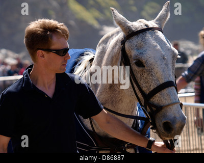 Son premier joueur de polo pony, Veuve Clicquot Polo sur la plage, baie de Watergate, Cornwall, UK 2013 Banque D'Images