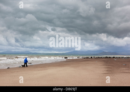 Lone walker avec chien sur plage déserte à Barmouth sur un jour nuageux Vent froid Banque D'Images