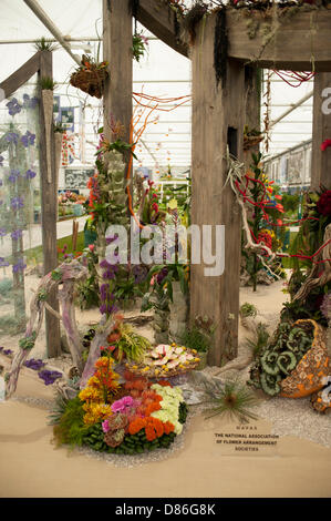 Londres, Royaume-Uni. 20 mai, 2013. L'Association écossaise de sociétés d'arrangement de fleur tiens à la RHS Chelsea Flower Show, médaille d'or. Credit : Malcolm Park/Alamy Live News Banque D'Images