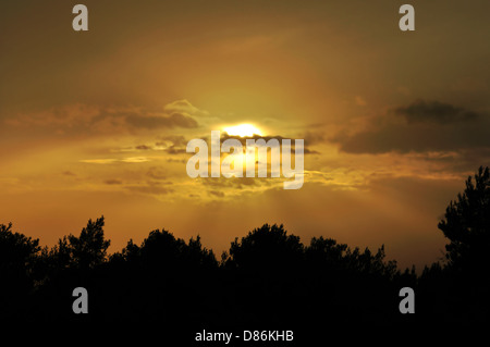 Ciel du soir derrière les nuages. Coucher du soleil orange et silhouettes d'arbres. Banque D'Images