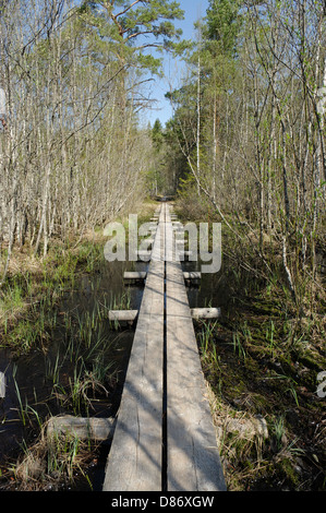 Sentier de randonnée dans Selli-Sillaotsa Alam-Pedja Nature Reserve Banque D'Images