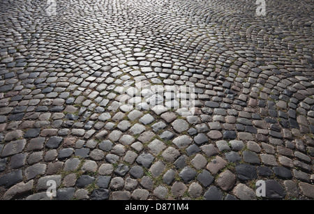 Allemagne, Cologne, rue pavée Banque D'Images