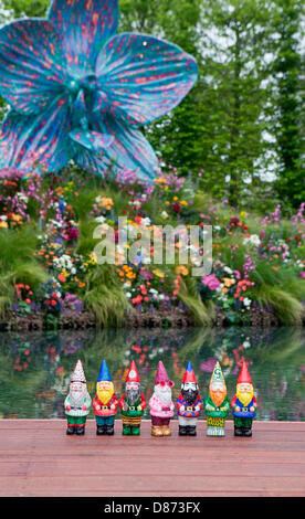 Londres, Royaume-Uni. 20 mai 2013. Chelsea Flower Show 2013 Banque D'Images