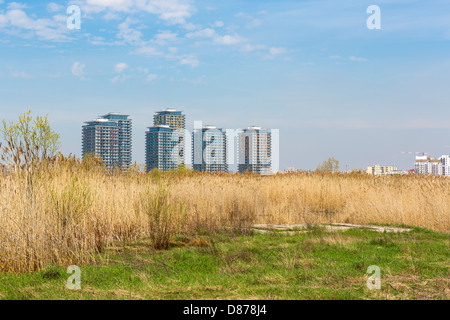 Paysage avec de grands immeubles d'habitation et des champs de roseaux dans le sud-est de la banlieue de Bucarest, vue de l'ancien lac Vacaresti. Banque D'Images