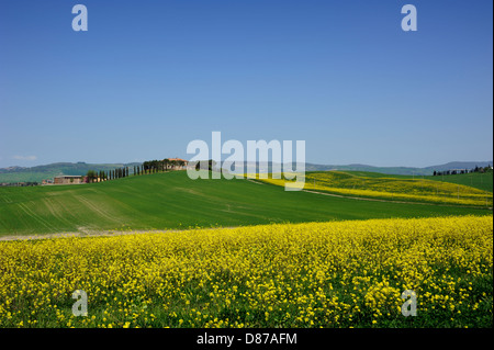 Italie, Toscane, Val d'Orcia, campagne Banque D'Images