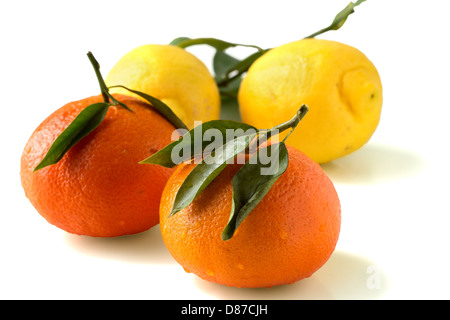 Les oranges et les citrons avec des feuilles sur fond blanc Banque D'Images