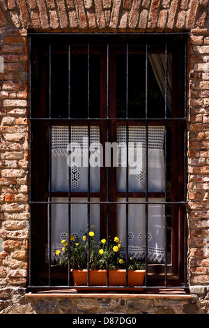 Vieille fenêtre grille et fleur jaune dans le centre de Colonia del Sacramento en Uruguay Banque D'Images
