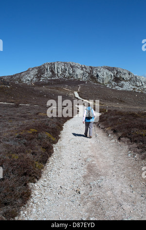 Le sentier du littoral du pays de Galles dans le Nord du Pays de Galles. Une dame Walker sur le Holyhead Mountain section du chemin de la côte du Pays de Galles. Banque D'Images