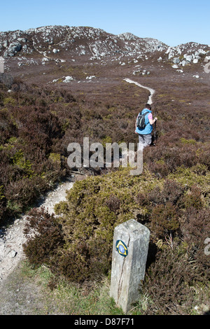 Le sentier du littoral du pays de Galles dans le Nord du Pays de Galles. Une dame Walker sur le Holyhead Mountain section du chemin de la côte du Pays de Galles. Banque D'Images