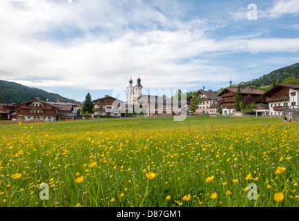 Renoncules dans fleur pleine sur la place du village de Ried, un authentique village tyrolien traditionnel avec mountain chalets Banque D'Images