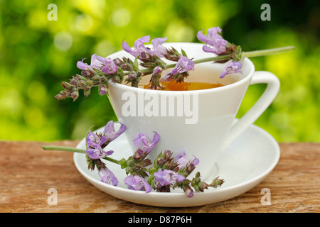 L'infusion de sauge. Salvia officinalis. Banque D'Images