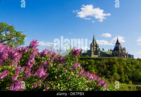 La colline du Parlement à Ottawa vue du pont Alexandra. En premier plan de belles fleurs lilas Banque D'Images